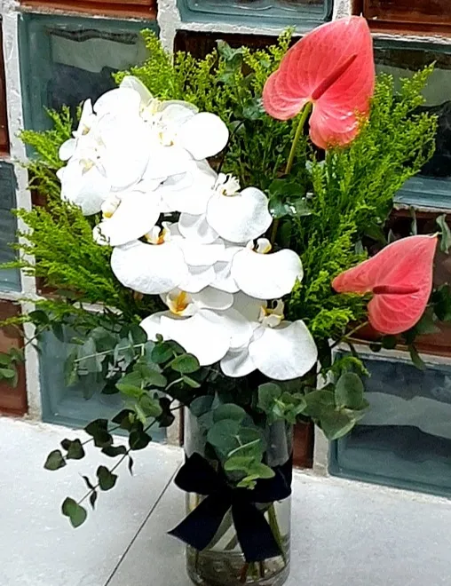 Elegancia Mom